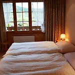 Lejlighed Hornflue - Wohlwender By Interhome Gstaad