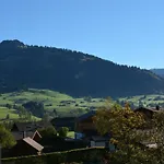 Hornflue - Wohlwender By Interhome Lejlighed Gstaad