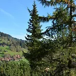 Hornflue - Wohlwender By Interhome Lejlighed Gstaad