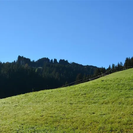 Hornflue - Wohlwender By Interhome * Gstaad