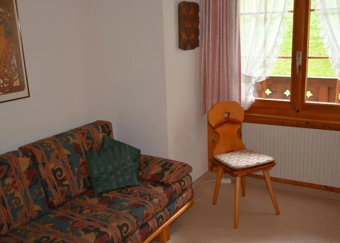 Hornflue - Wohlwender By Interhome Lejlighed Gstaad