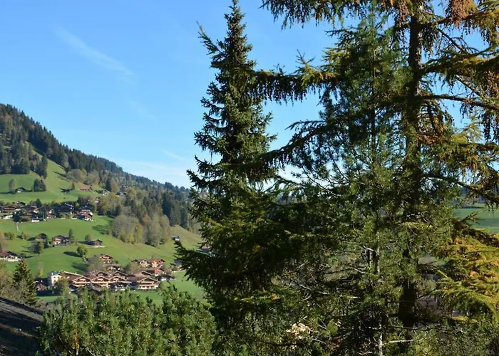 Hornflue - Wohlwender By Interhome Lejlighed Gstaad