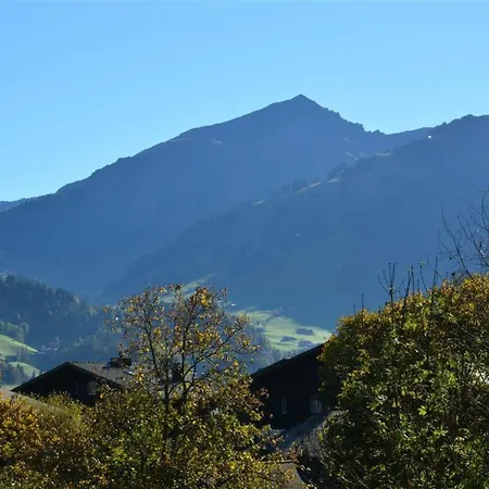 Hornflue - Wohlwender By Interhome