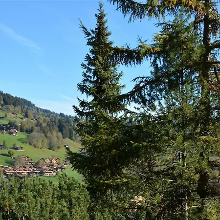 Hornflue - Wohlwender By Interhome Apartman Gstaad